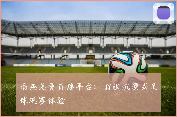 雨燕免费直播平台：打造沉浸式足球观赛体验