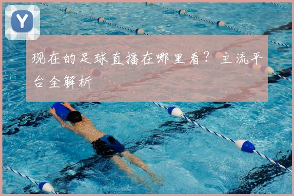 现在的足球直播在哪里看？主流平台全解析