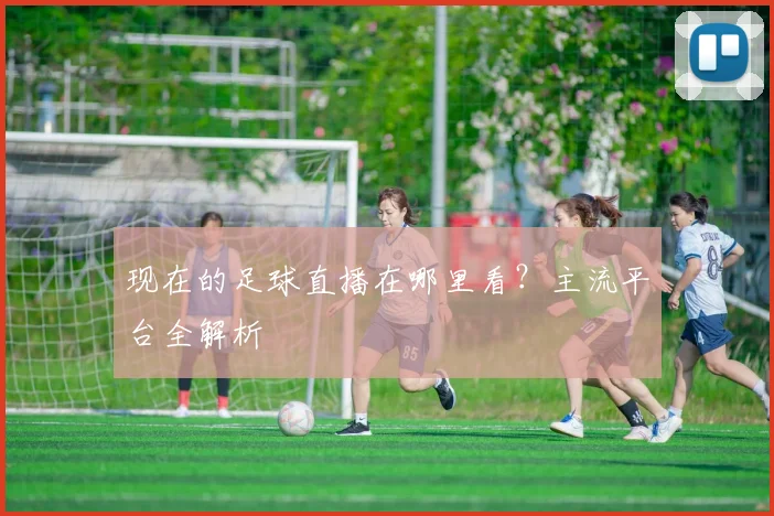 现在的足球直播在哪里看？主流平台全解析